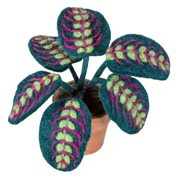 PLANT FELT PRAYER
