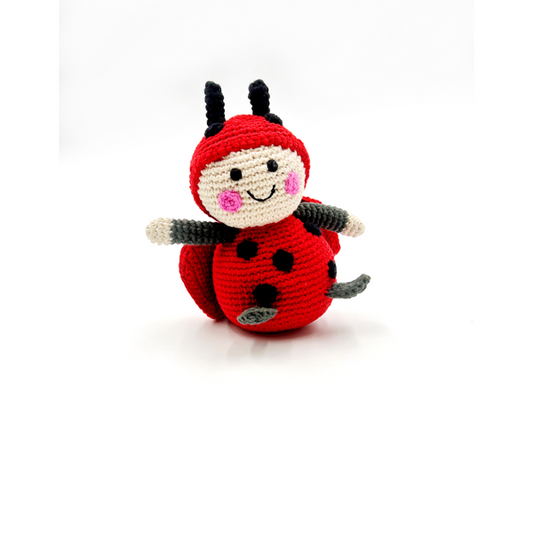 RATTLE RED LADYBIRD