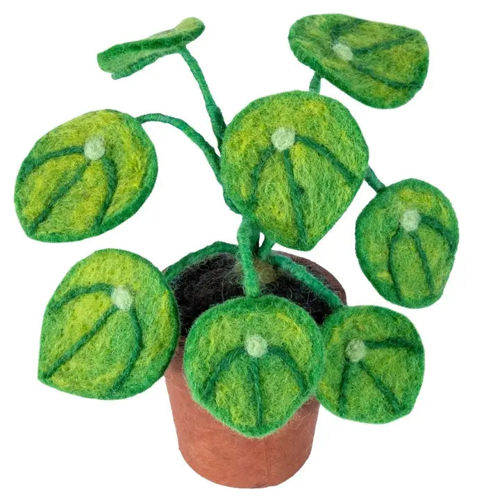 PLANT FELT MONEY