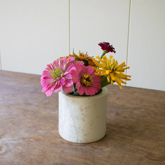 PLANTER CYLINDER MED